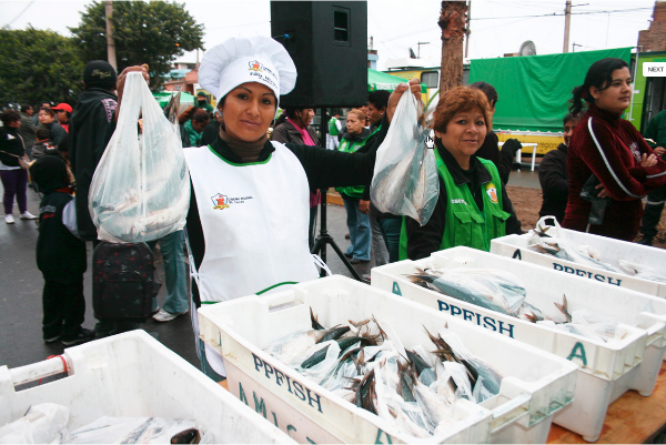 MERCADO REGIONAL MÓVIL: PRODUCTOS DE CALIDAD A BAJOS PRECIOSImagen del título: 